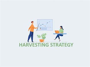 Strategies for Avoiding Reverse - Harvesting 的图像结果